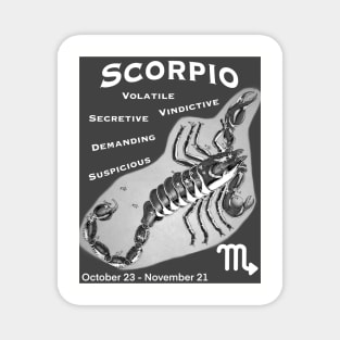 Scorpio Negative Traits Magnet