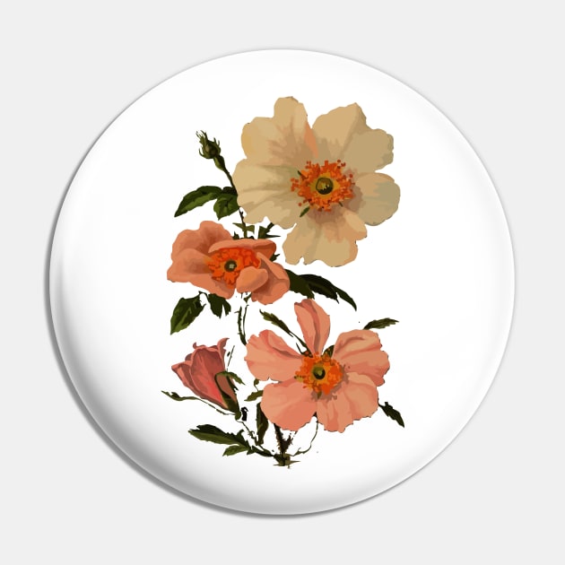 White and pink flower vector art design Pin by Dope_Design