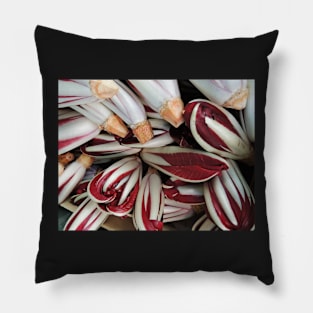 Radicchio Pillow