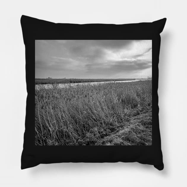 The River Yare in Acle, Norfolk Pillow by yackers1