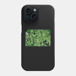 Coleus Plant Leaves Phone Case