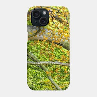 SCENERY 78 - Summer Fall Tree Leaf Branch Woodland Phone Case