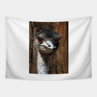 Emu Tapestry