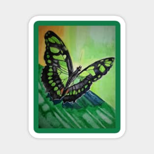 Green and black butterfly watercolour painting Magnet