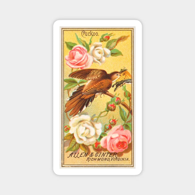 Cuckoo Magnet by WAITE-SMITH VINTAGE ART