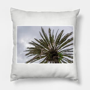 Palm tree silhouette against grey cloudy sky Pillow