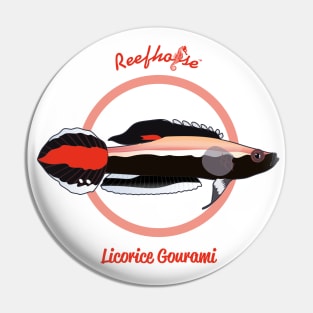 Licorice Gourami Pin