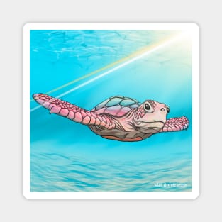 Rainbow Turtle Magnet