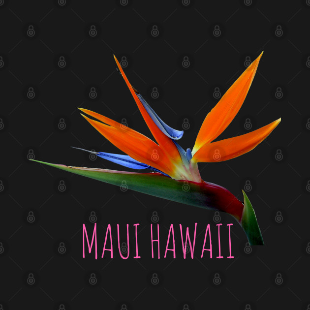 Disover Bird of paradise tropical flower Maui Hawaii - Maui Hawaii - T-Shirt