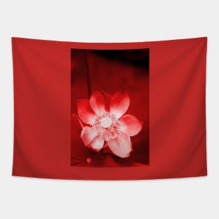 Red Lotus Tapestry