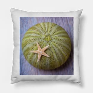 Sea Urchin With Starfish Pillow