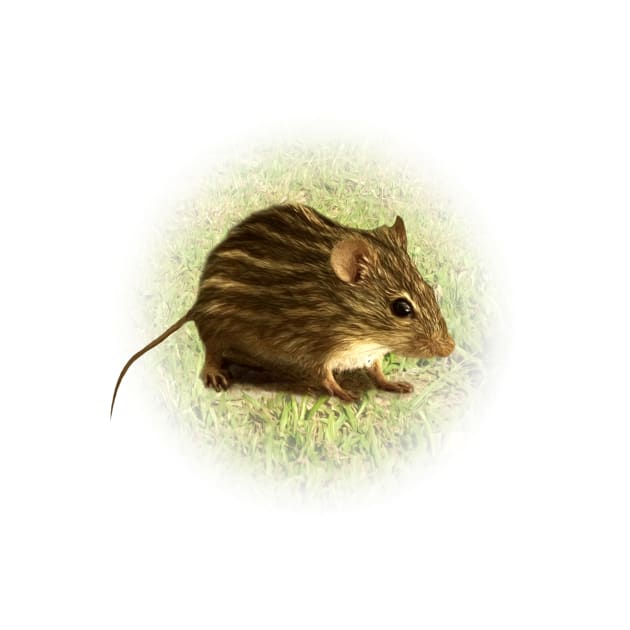 Striped grass mouse by Guardi