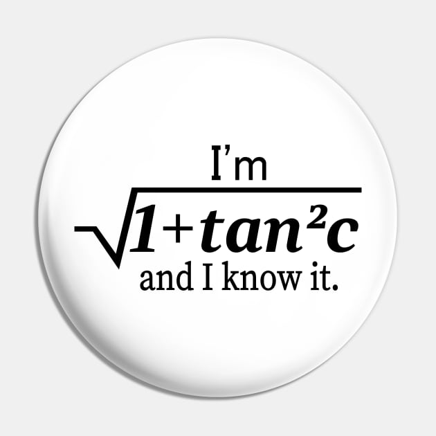 I'm Sqrt[1 + tan2 (c)] And I Know It Funny Math Pin by l designs