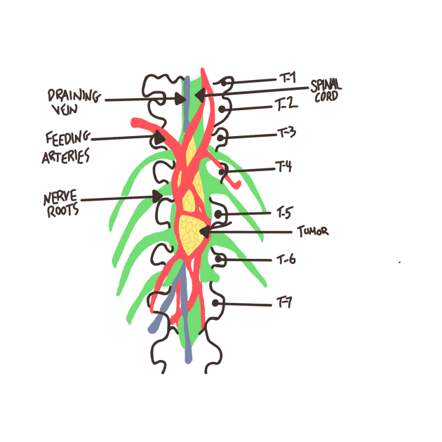 Greys Anatomy/Medicine/Spinal Cord/ Nerves/ Derek shepherd/ Grey Sloan/ Med School by emmamarlene