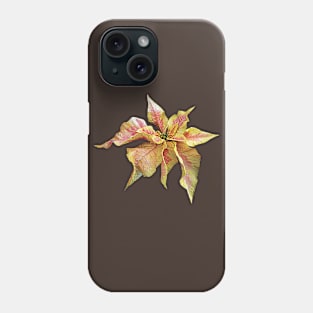 Poinsettias - Fancy Pink and Yellow Poinsettia Phone Case