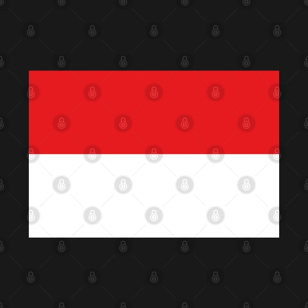 Flag of Indonesia by DiegoCarvalho