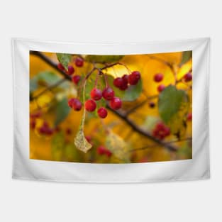 Weeping Crabapple Tapestry