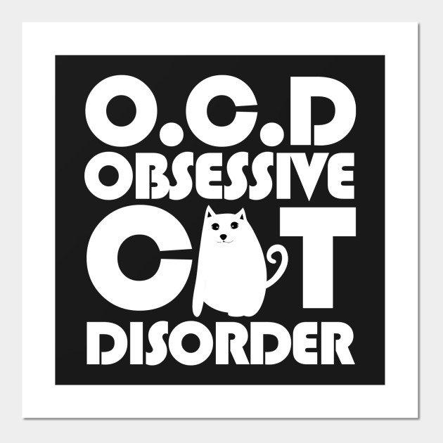 ocd obsessive cat disorder