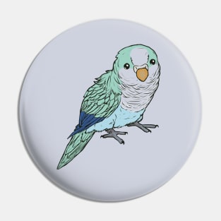 Light blue and turquoise quaker Pin