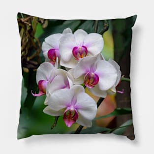 White Orchid Flowers Pillow