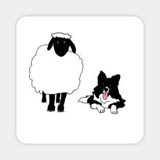 Border collie sheep Magnet