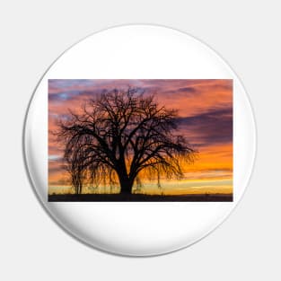 Cotton Wood Sunrise Pin