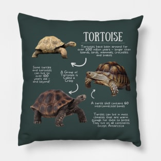 Animal Facts - Tortoise Pillow