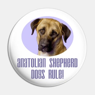 Anatolian Shepherd Dogs Rule! Pin