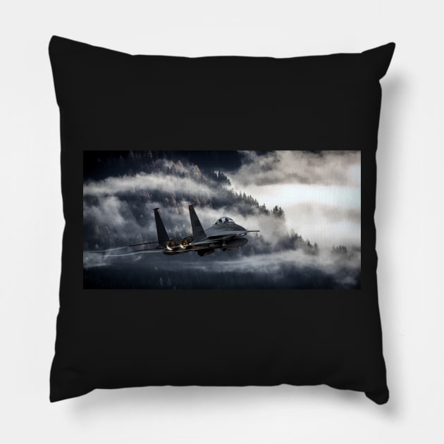 Eagle Hunter Pillow by aviationart