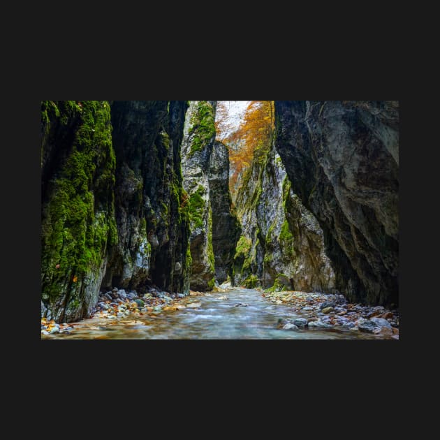 River in limestone canyon by naturalis