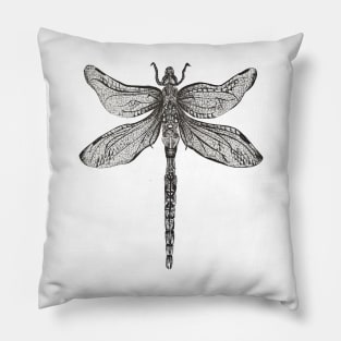 Pen and Ink Dragonfly Pillow