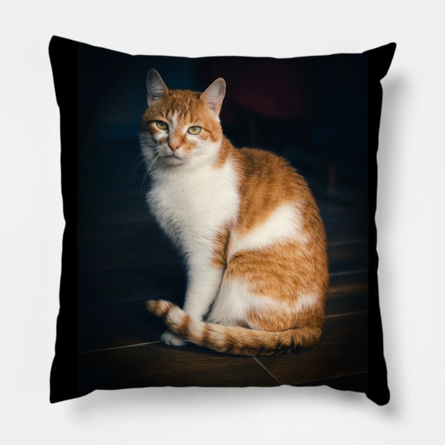 Picture of a cat sitting on the floor Pillow by Czajnikolandia