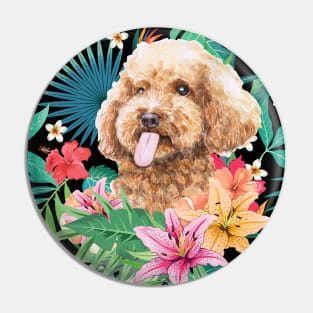 Tropical Apricot Toy Poodle 2 Pin