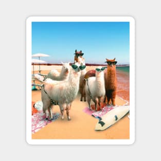 Funny Llama Beach Magnet