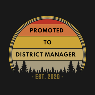 Promoted To District Manager EST. 2020 Retro Vintage Sunset T-Shirt