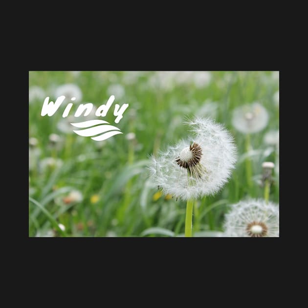 WINDY TEXT DESIGN by YouChoice Creations