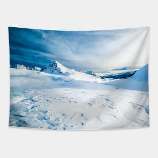 SCENERY 60 - White Snow Mountain Frost Forest Cold Ice Tapestry