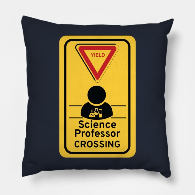 Science professor Pillow by Night'sShop