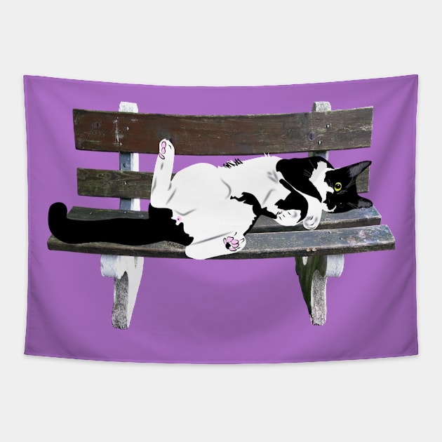 Cute Tuxedo Cat Resting on a Park Bench Copyright by TeAnne Tapestry by TeAnne