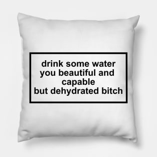 Drink some water Pillow