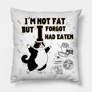 Cat i am mot fat but i forgot i had eaten Pillow