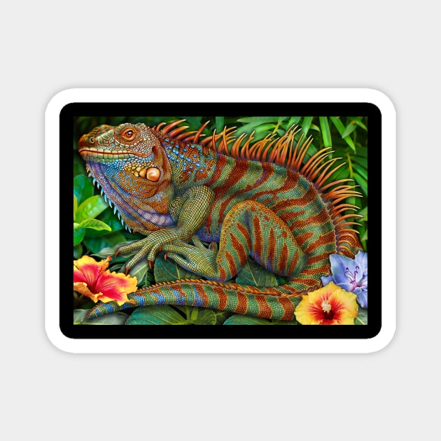 Iguana Magnet by Tim Jeffs Art