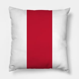 AFC Ajax Pillow