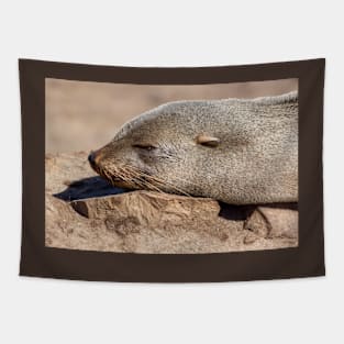 Baby seal. Tapestry