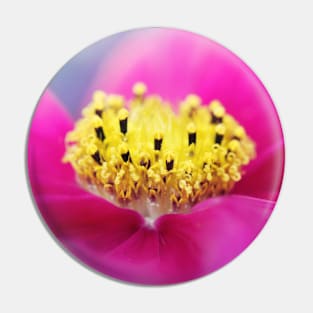 Hot Pink Cosmos Pin