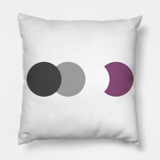 Ace | Muted | Subtle Pride Pillow