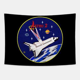 Black Panther Art - NASA Space Badge 46 Tapestry