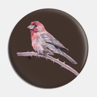 House Finch Watercolor Pin