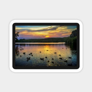 Sunset Over Black Swan Lake Magnet