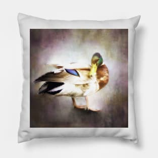 Mallard Duck Pillow